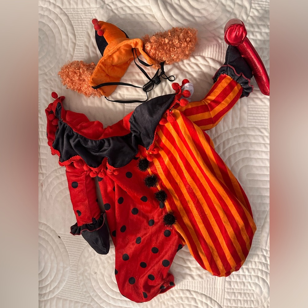 Colorful Clown dog Costume